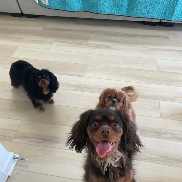 About Me - Picture 15 of 16